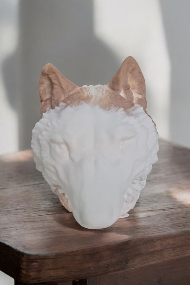 Beton Kurt Kafa Büyük Biblo Kahverengi Beyaz