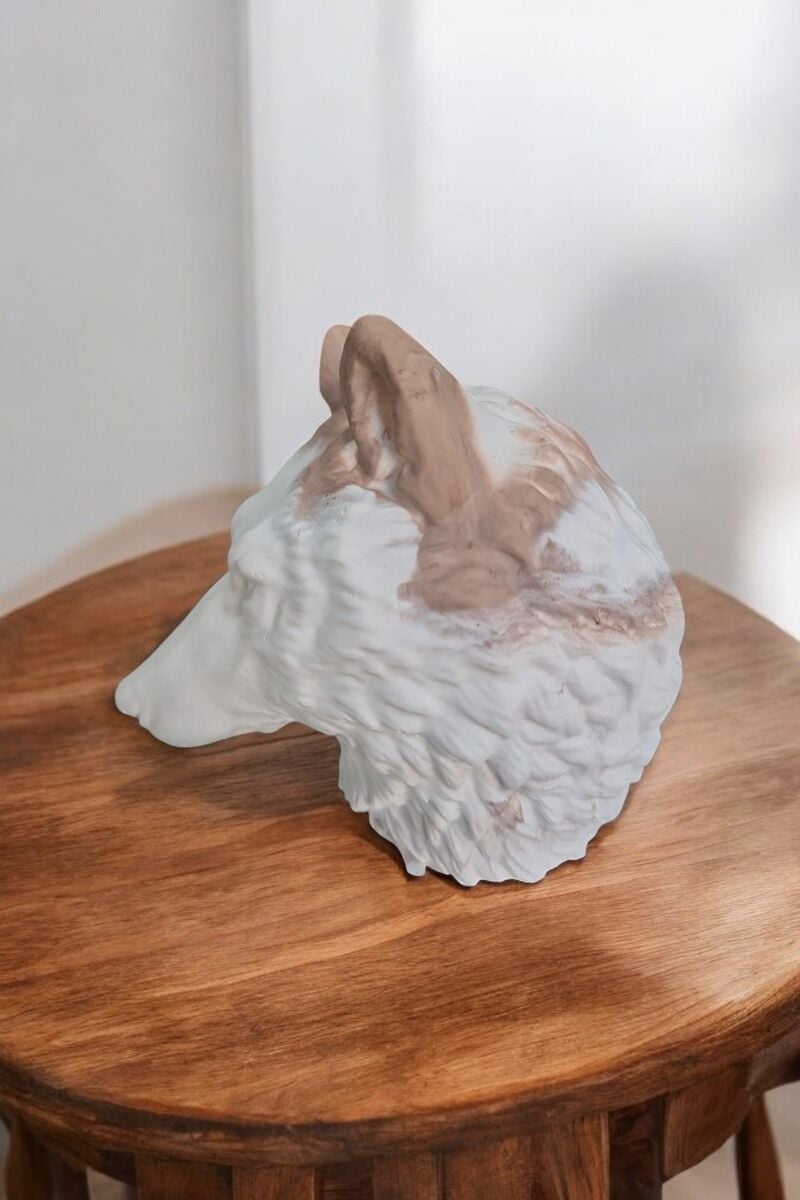 Beton Kurt Kafa Büyük Biblo Kahverengi Beyaz