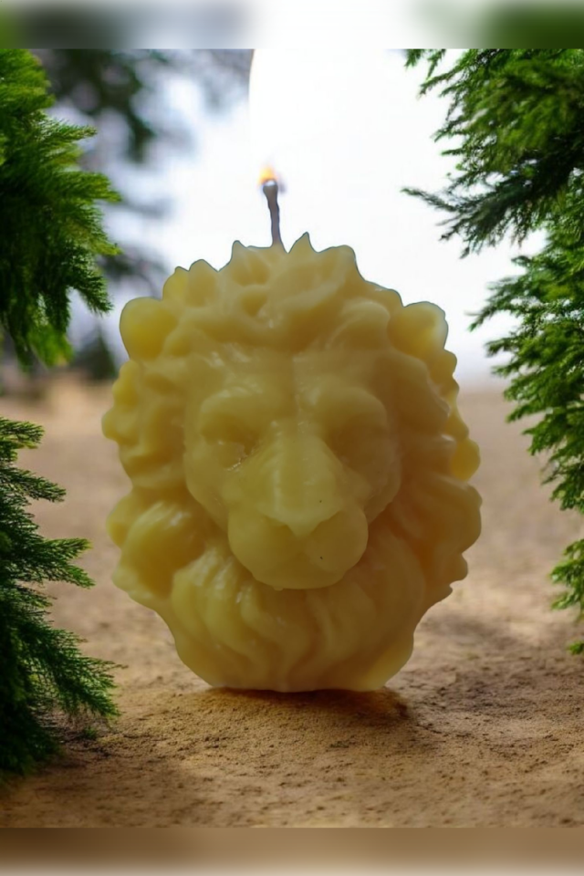 Büyük Boy Aslan Başı Sarı Mum