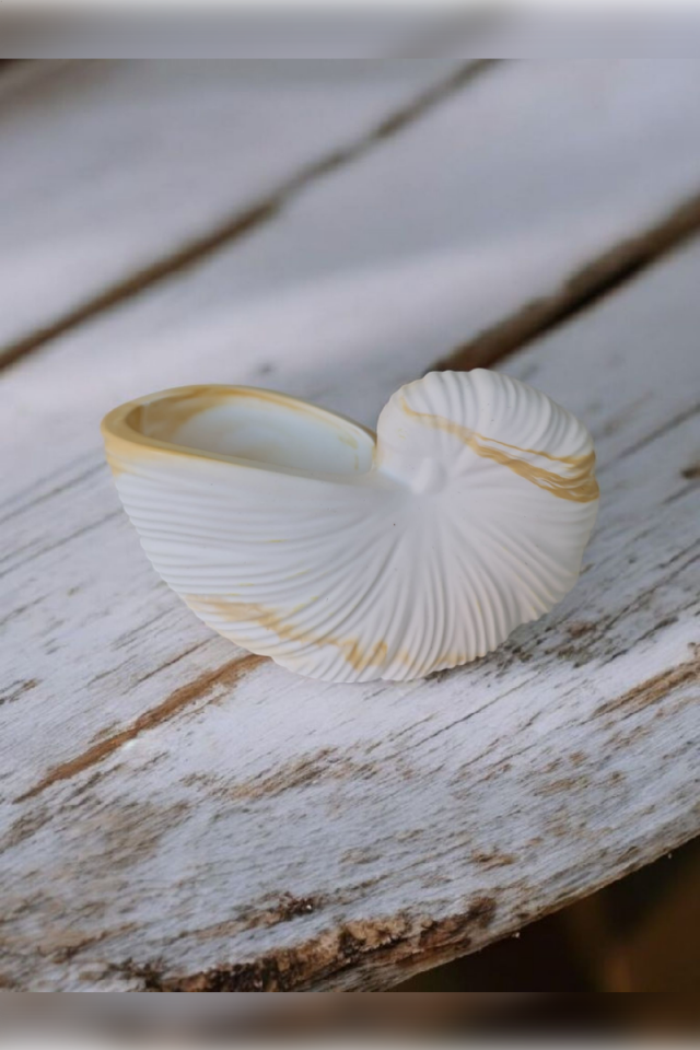 Deniz Kabuğu Gold&Beyaz Vazo