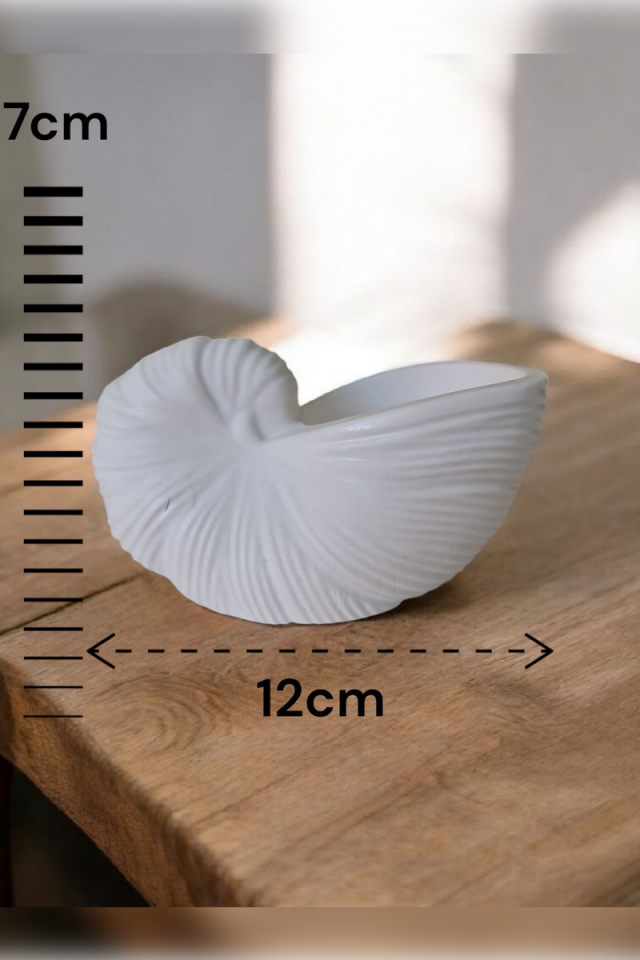 Deniz Kabuğu Beyaz Vazo