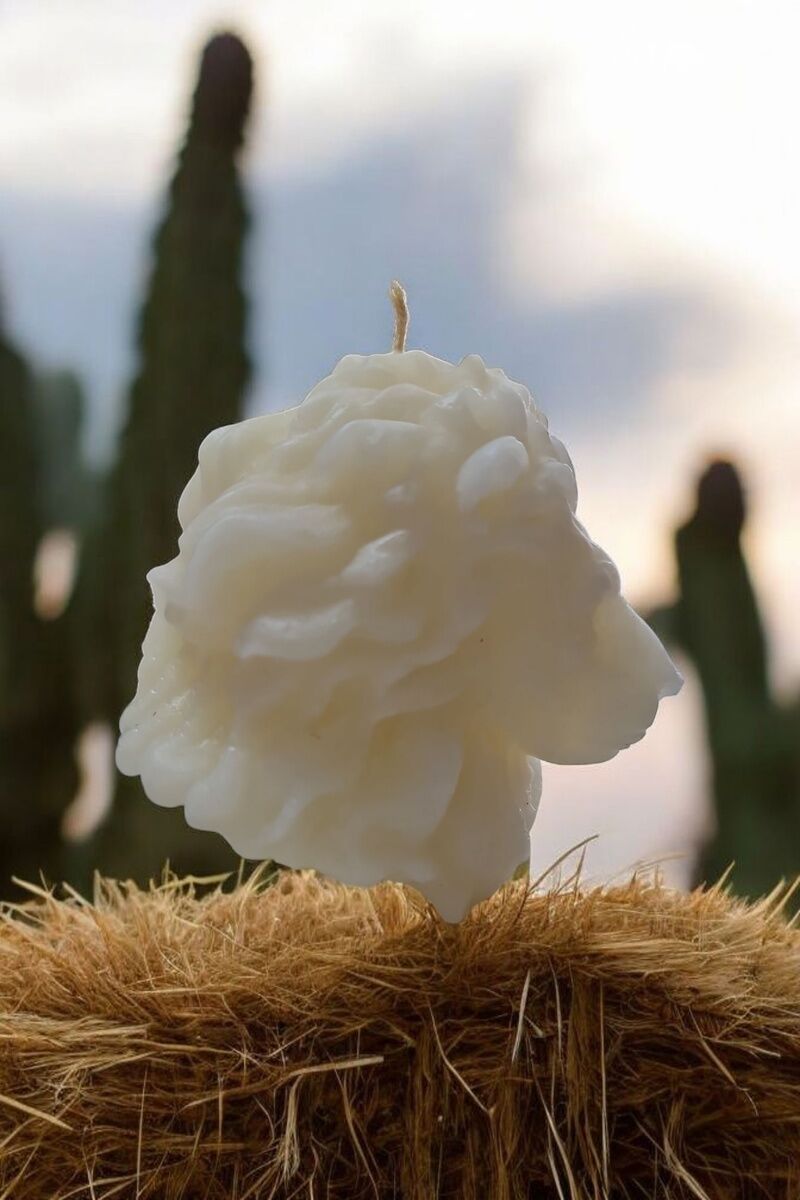 Büyük Boy Aslan Başı Beyaz Mum