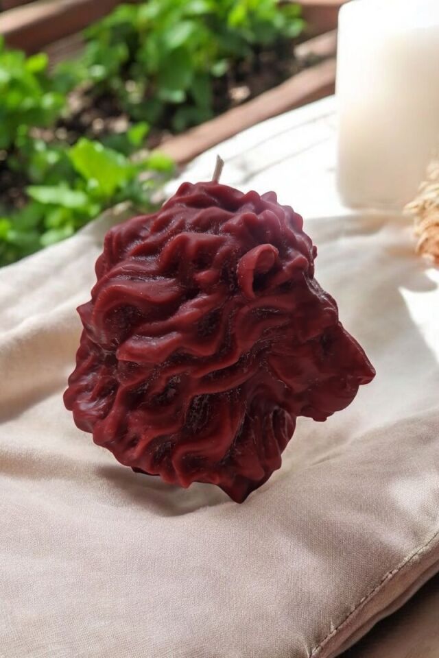 Büyük Boy Aslan Başı Kahverengi Mum