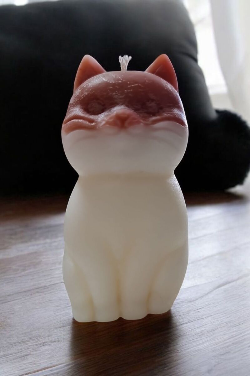 Kahverengi Beyaz Kedi Mum