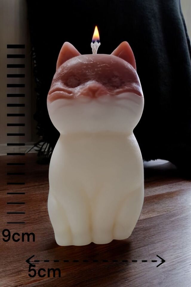 Kahverengi Beyaz Kedi Mum