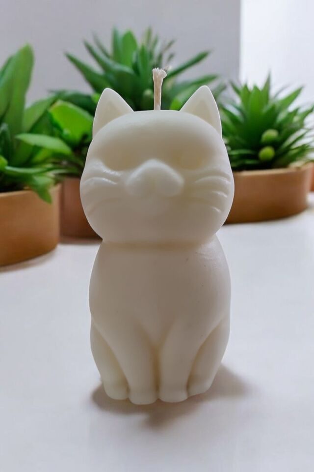 Beyaz Kedi Mum