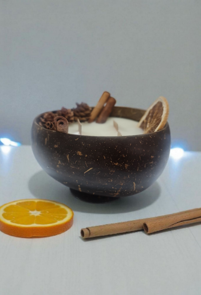 Hindistan Cevizi Kabuğunda Kış Masalı