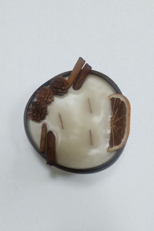 Hindistan Cevizi Kabuğunda Kış Masalı